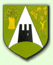 BLASON DE ST ROMAIN